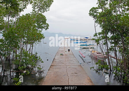 Les bateaux de pêche traditionnels à Tambisan Pier, près de l'île de San Juan, Sequijor, Visayas, Philippines, Asie du Sud, Asie Banque D'Images