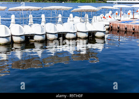 White Swan boats vide avec la réflexion sur l'eau, flottant sur le lagon bleu de parc public à Bangkok, Thaïlande. Le lieu de prédilection pour les loisirs Banque D'Images