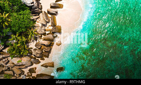 Plage tropicale avec vue sur la mer et palm pris de drone. Seychelles célèbre plage de requin - vue aérienne Banque D'Images