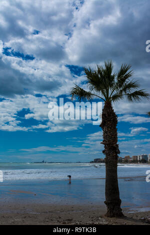 Une journée froide et venteuse sur la plage, Benicassim, Castellon, Espagne Banque D'Images