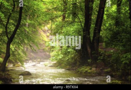 Ilsetal dans les montagnes du Harz : vallée avec une rivière dans la forêt avec une brume légère Banque D'Images