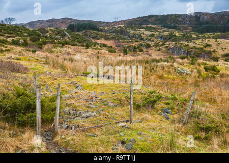 Paysage norvégien rurale avec vieille clôture, district de Bergen Banque D'Images