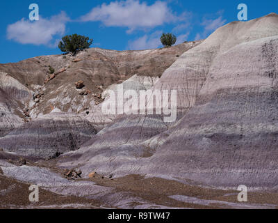Badlands Blue Mesa de la boucle de la forêt, le Parc National de la Forêt Pétrifiée, Arizona. Banque D'Images