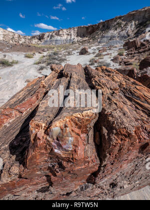 Le bois pétrifié sur la vieille route dans la zone forestière de Jasper, Parc National de la Forêt Pétrifiée, Arizona. Banque D'Images