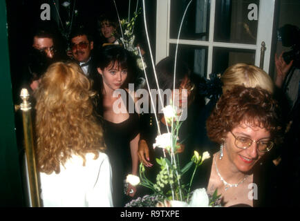 Los Angeles, CA - le 24 juin : Shannen Doherty actrice assiste à la 20e Conférence Annuelle Internationale RP Vision Awards le 24 juin 1993 au Regent Beverly Wilshire Hotel à Beverly Hills, Californie. Photo de Barry King/Alamy Stock Photo Banque D'Images