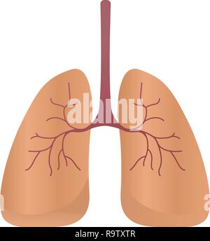 Les poumons, l'icône de style de scénario. Les organes internes de l'élément de conception, logo. L'anatomie, le concept de la médecine. Les soins de santé. Isolé sur fond blanc. Vector illustration Illustration de Vecteur
