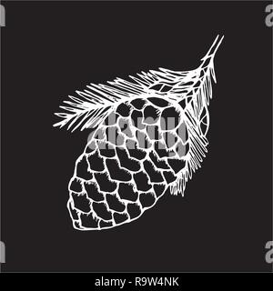 Dessin en noir et blanc d'une branche avec un cône de pin. Usine de beauté. La craie sur un tableau noir Illustration de Vecteur