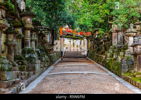 Kasuga-taisha Japon Nara  Banque D'Images