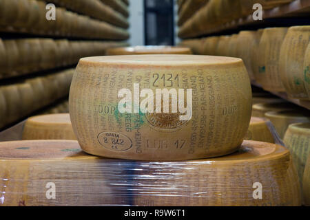 Cycles de vieillissement du fromage au Caseificio San Bernardino Parmigiano Reggiano Cheese Factory, Tortiano, Italie. Banque D'Images