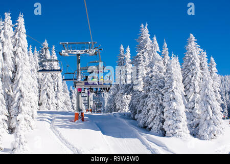 Panorama de ski, la pente, les gens sur les remontées mécaniques, les skieurs sur les pistes entre les pins blanc neige Banque D'Images