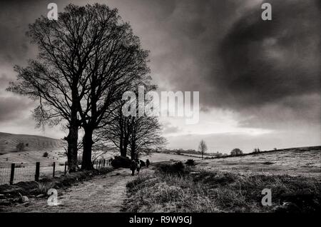 Marcher sur un hivers froid matin le long Les Brecon Beacons Banque D'Images