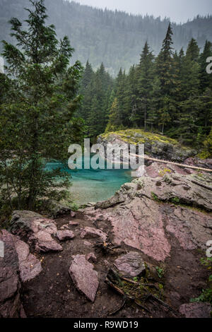 Botte de fluide Creek dans le Parc National de Glacier dans le Montana sur l'image. Près de la piste d'avalanche. Banque D'Images