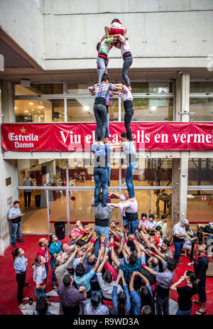 Castellers de Barcelona (tours humaines) - Tour de la pratique de Castellers, Barcelone, Espagne Banque D'Images