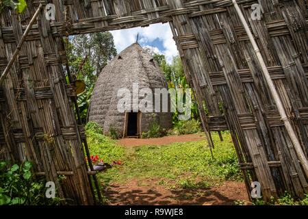 Village de la tribu Dorze de vallée de l'Omo, Ethiopie Banque D'Images