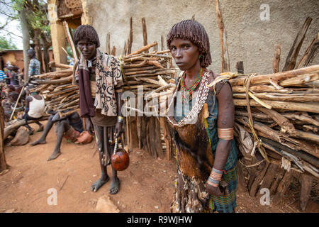 Les femmes de la tribu Hamar transportant des branches d'arbre dans leur village en vallée de l'Omo, Ethiopie Banque D'Images