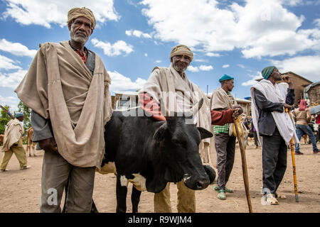 Marché aux bestiaux de Lalibela en Ethiopie Banque D'Images