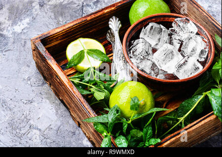 Ingrédients pour lime mojito, feuilles de menthe, glace Banque D'Images