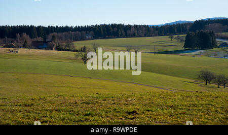 Belle forêt noire près de Freiburg , vue depuis la tour hünersedel Banque D'Images