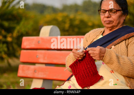 Les femmes indiennes le tricot pull marron en hiver dans un parc à New Delhi, Inde Banque D'Images