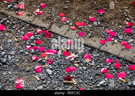 Petits coeurs rouge, faite de papier d'aluminium, les vestiges d'une pousse de photo après un mariage, à un point d'observation, Wartburg, Heilbronn, ci-dessus Banque D'Images