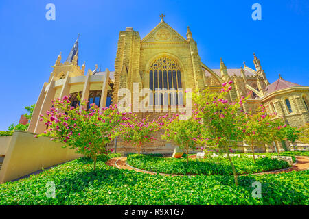 La Cathédrale St Mary de vitraux à Perth, Australie occidentale. Le jardin fleuri de cathédrale de l'Immaculée Conception de la Bienheureuse Vierge Marie dans le style néogothique. Banque D'Images