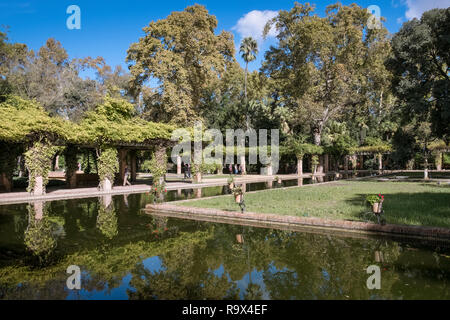 L'intérieur de jardins Parc Maria Luisa (Parque de María Luisa), Séville, Andalousie, espagne. Banque D'Images