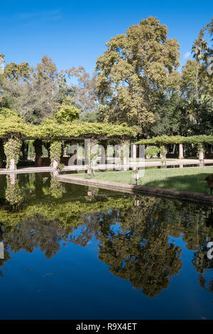 L'intérieur de jardins Parc Maria Luisa (Parque de María Luisa), Séville, Andalousie, espagne. Banque D'Images