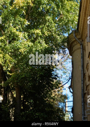 Vieille maison en brique en été dans la région de Moscou, Russie Banque D'Images