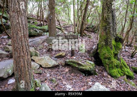 Un sentier de randonnée le long de la connexion alors que Fiery gésier sentier près de Foster Falls, South Cumberland State Park sur le Plateau Cumberland. Banque D'Images