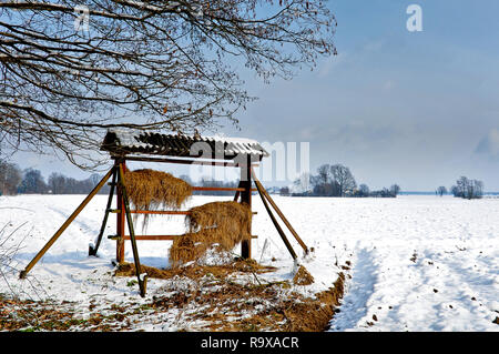 Convoyeur d'animaux sauvages en bois dans la neige paysage d'hiver, du foin empilés pour deer Banque D'Images