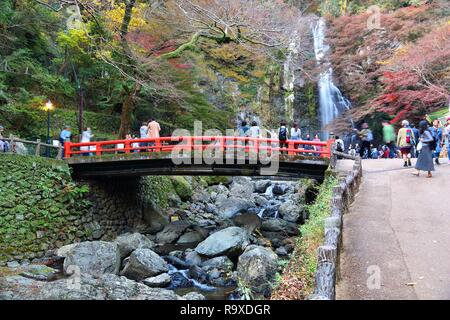 Le JAPON, MINOO - 22 NOVEMBRE 2016 : les visiteurs à l'ère Meiji no Mori Mino Parc Quasi-National près d'Osaka, au Japon. Le parc est connu pour ses spectaculaires de l'automne Banque D'Images