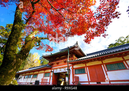 Tamukeyama Hachimangu, à Nara, Japon. Banque D'Images