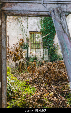 Porte cassée et vieille maison abandonnée avec les plantes qui poussent à l'intérieur, France, Bretagne Banque D'Images