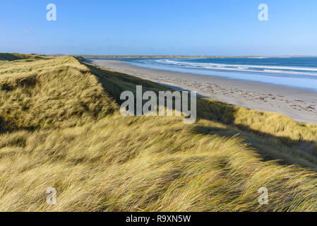 Dunes de sable, Killinallan Aonghais Point, plage de Traigh Baile, Islay, Hébrides intérieures, ARGYLL & BUTE, Ecosse Banque D'Images