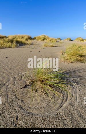 Les modèles soulevée par le vent dans les dunes de sable, Killinallan Aonghais Point, plage de Traigh Baile, Islay, Hébrides intérieures, ARGYLL & BUTE, Ecosse Banque D'Images