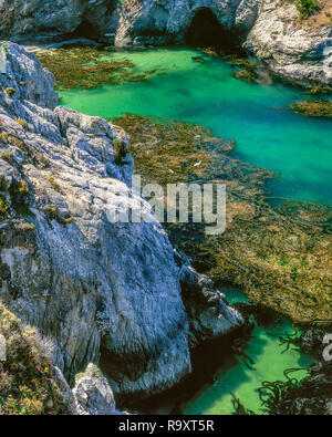 Chine Cove, Point Lobos State Reserve, Big Sur, Monterey County, Californie Banque D'Images