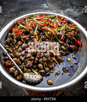 Grand bol d'escargots servis au Vietnam comme un mets délicat. Banque D'Images