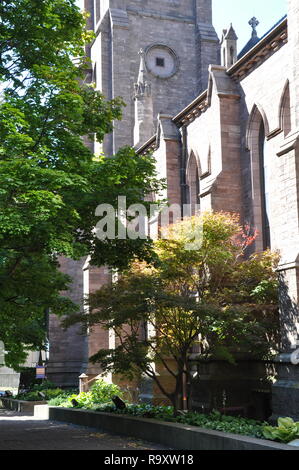 Cathédrale épiscopale St Paul's, Vue de côté, la rue de l'Église, le centre-ville de Buffalo, NY Banque D'Images