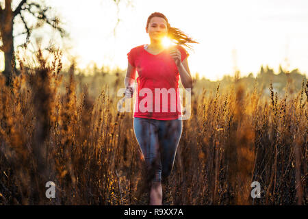 Jeune femme va pour une campagne à travers les hautes herbes en fin d'après-midi du soleil. Banque D'Images