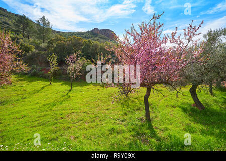 Gatova village de la Sierra Calderona d'Espagne à Valence Banque D'Images