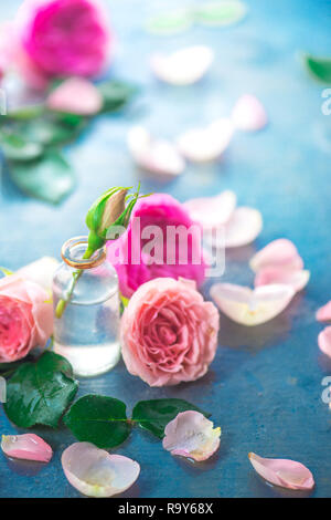 Roses roses dans de petites bouteilles en verre sur un fond gris neutre avec l'exemplaire de l'espace. Un concept féminin de pétales et de fleurs dans des tons pastel Banque D'Images