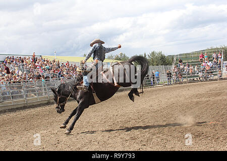 Rodeo en Alberta, Canada Banque D'Images