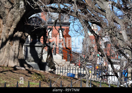 Vieil arbre à l'extérieur de la National Portrait Gallery de Washington DC Banque D'Images