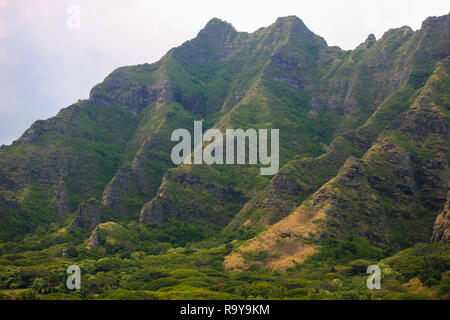 Pentes de montagnes Koolau, Oahu, Hawaii Banque D'Images