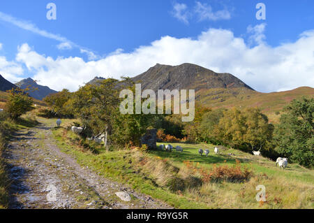 Glen Sannox brûler, Isle of Arran Banque D'Images