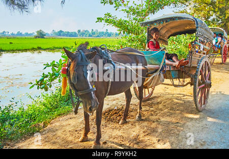 AVA, LE MYANMAR - février 21, 2018 : Le jeune conducteur est assis dans sa charrette et offre le tour de l'Inwa, le 21 février à Ava. Banque D'Images