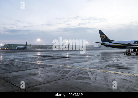 Le roulage des avions de Ryanair sur le tarmac de l'aéroport de Stansted en brouillard, London, UK Banque D'Images