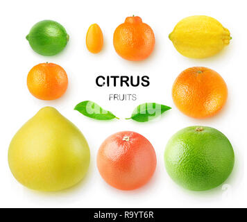 Agrumes isolés. Pomélo, pamplemousse, orange, citron, clémentine, kumquat, citron vert et mandarine isolé sur fond blanc avec clipping path Banque D'Images