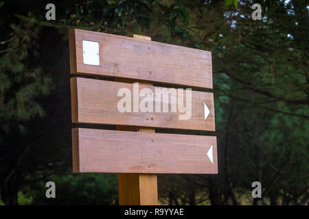 Vue latérale d'un panneau en bois immersive avec deux flèches de signalisation et un carré blanc. Parc forestier vert arrière-plan. Banque D'Images