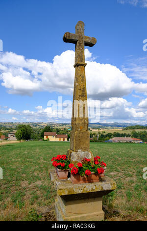 Croix de Pierre à Saint Medard en Forez en Loire du centre de la France Banque D'Images